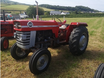 Wheel tractor MASSEY FERGUSON 165