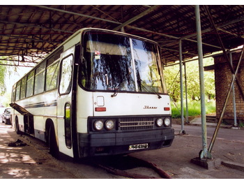 Coach IKARUS 250.59: picture 1