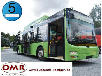 City bus MAN A 21 / CNG / Erdgas / 530 / Citaro / A20: picture 1