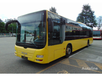 City bus MAN LION'S CITY A37: picture 3