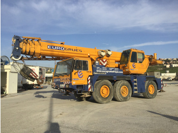 Mobile crane Liebherr LTM1050/1: picture 1