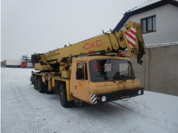 Tatra 815 PJ28 - Mobile crane