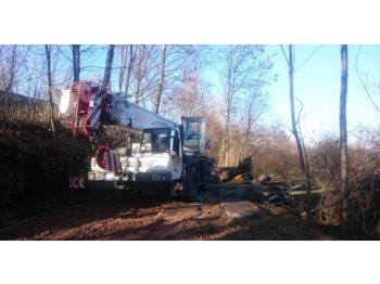 Mobile crane PPM ATT 390: picture 1