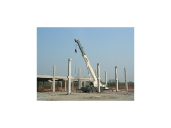 Mobile crane Terex-PPM ATT 900: picture 1