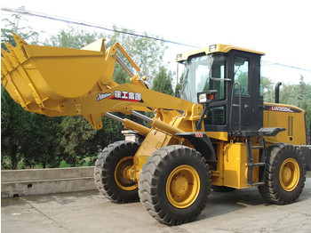 Wheel loader XCMG LW300K: picture 1