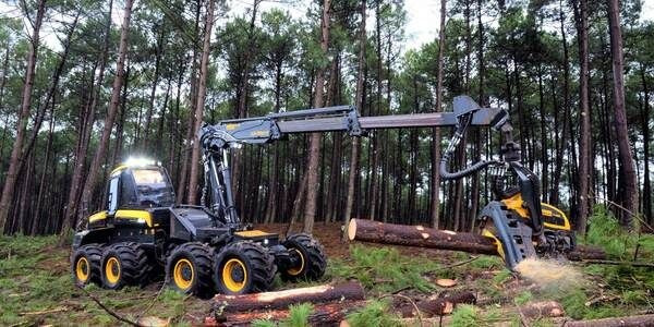 Forestry harvester Ponsse Bear 8W: picture 16