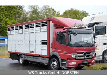 Mercedes-Benz Atego 1329  4x2  KA-BA Viehtransporter Großvieh  - Other: picture 1