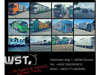 New Livestock semi-trailer Menke 3 Stock Hubdach Liftachse "NEU"  Vollalu: picture 1