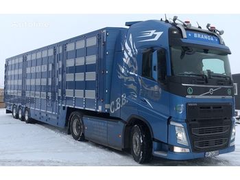 New Livestock semi-trailer for transportation of animals New PLAVAC 3+4: picture 1