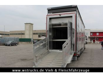 New Livestock semi-trailer Pezzaioli 2 x SBA31-SR  3 Stock "Neu" Sofort: picture 1