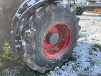 Rim FENDT