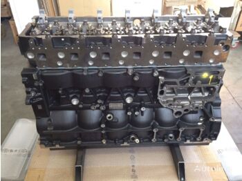 Engine for Truck MAN MAN D2676LF48: picture 1