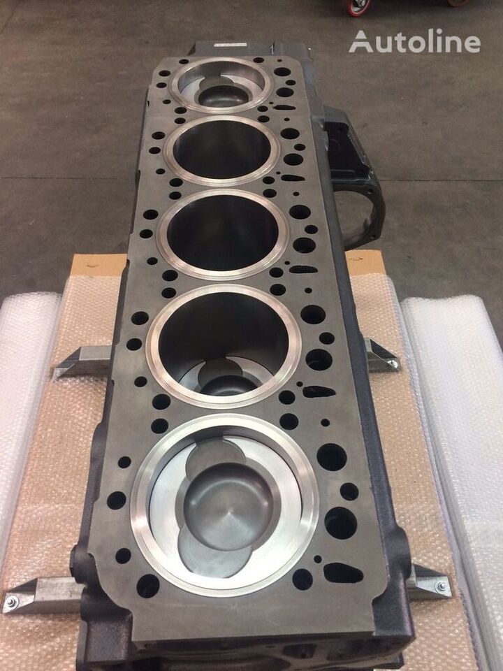 Cylinder block for Truck MAN - MOTORE D2865: picture 8