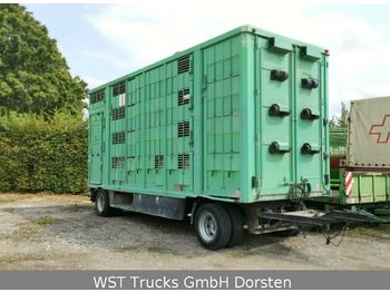 KABA 4 Stock  Vollalu 7,30m  - Livestock trailer
