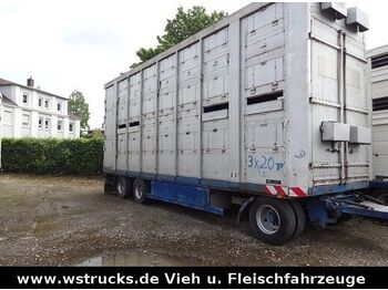 Menke-Janzen Menke 2 Stock Spindel Viehanhänger  - Livestock trailer