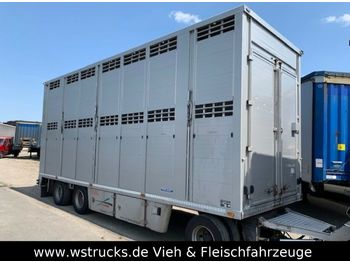 Livestock trailer Menke 2 Stock  Vollalu: picture 1