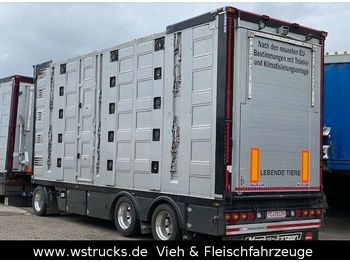 Livestock trailer Menke 4 Stock Ausahrbares Dach  Vollalu Typ 2: picture 1