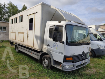 Mercedes-Benz 815 - Horse truck