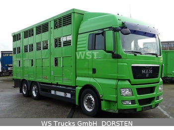 Livestock truck MAN TGX 26.480