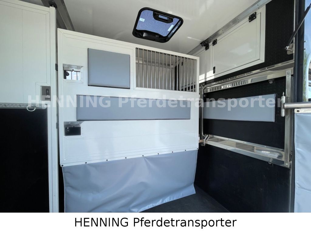 Horse truck, Commercial truck Renault Master 3 - Sitzer *KURZ*: picture 9