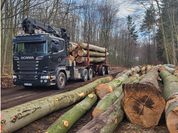 SCANIA R730 - Logging truck, Crane truck: picture 4