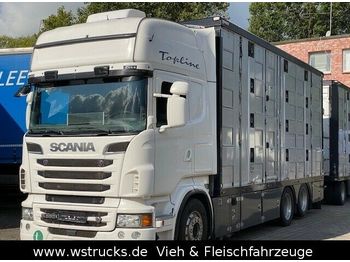 Livestock truck Scania R 560 Topline Menke 4 Stock Hubdach: picture 1