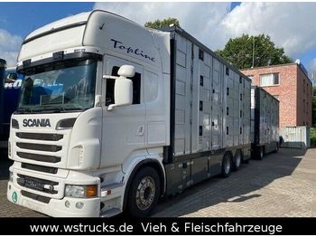 Livestock truck Scania R 560 Topline Menke 4 Stock Hubdach Komplett: picture 1