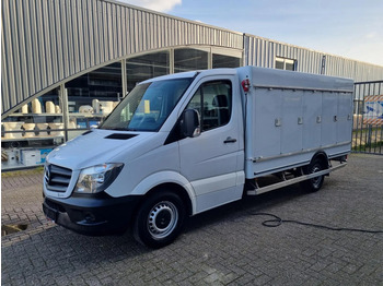 Mercedes-Benz Sprinter 313 CDI 10 COMPARTIMENTS /EIS/-40C / Carlsen Baltic - Refrigerated delivery van: picture 4