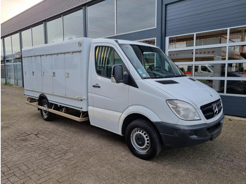 Mercedes-Benz Sprinter 313 CDI 10 Turen ICE -40C Carlsen Baltic EURO 5 - Refrigerated delivery van: picture 1