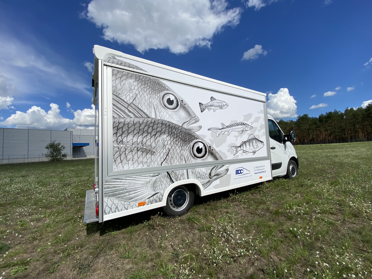 BCC Polska Sp. z o.o. - vehicles for sale undefined: picture 37