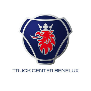 Curtain side truck SCANIA P 410