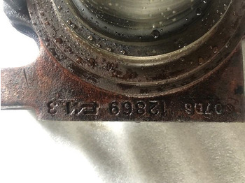 Steering knuckle CARRARO