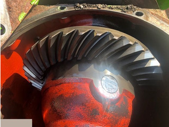 Differential gear MERLO