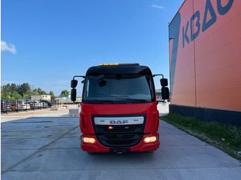 DAF LF 210 4x2 JIGE SIMPLEX 5 T / PLATFORM L=5799 mm leasing DAF LF 210 4x2 JIGE SIMPLEX 5 T / PLATFORM L=5799 mm: picture 2