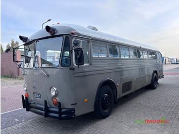 Bus CROWN Oldtimer / Jurybus / Camper 1969: picture 3 Bus CROWN Oldtimer / Jurybus / Camper 1969: picture 3