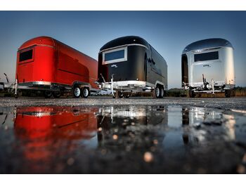 SHINE Spring RED leasing SHINE Spring RED: picture 3