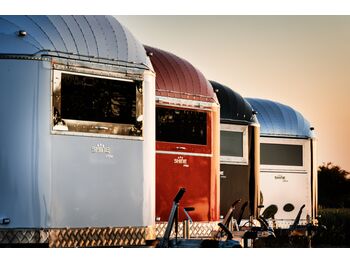 SHINE Spring RED leasing SHINE Spring RED: picture 2