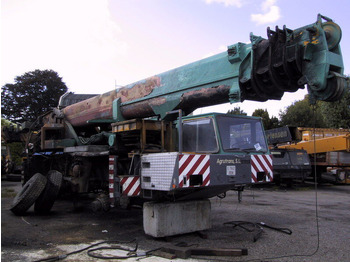 Mobile crane TEREX