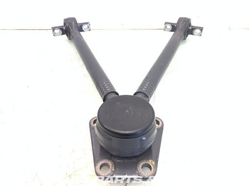 Suspension for Truck DAF: picture 2