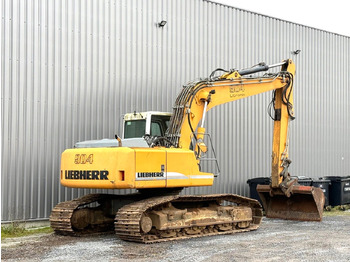 Crawler excavator Liebherr R904C  HDSL: picture 2