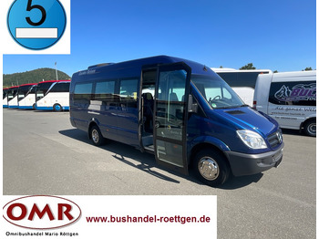 Minibus MERCEDES-BENZ Sprinter 519