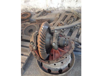 Differential gear DAF