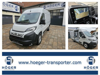 Panel van FIAT Ducato