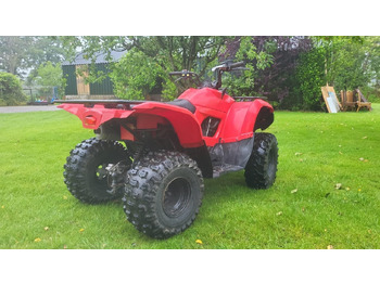 ATV/ Quad Yamaha Grizzly 300: picture 4