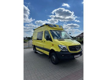 Passenger van MERCEDES-BENZ Sprinter 519
