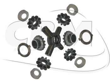 Differential gear IVECO