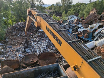 Waste/ Industry handler Liebherr 934C ELECTRIQUE: picture 2