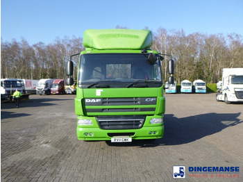 DAF CF 75.310 4x2 RHD leasing DAF CF 75.310 4x2 RHD: picture 5