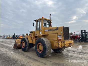 Wheel loader Fiat-Allis FR15B TURBO Wheel Loader: picture 2