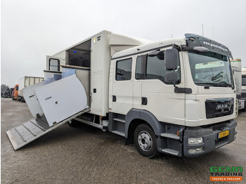 Horse truck MAN TGL 12.180